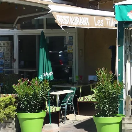 Hotell Les Tilleuls De Pareloup A Salles-Curan