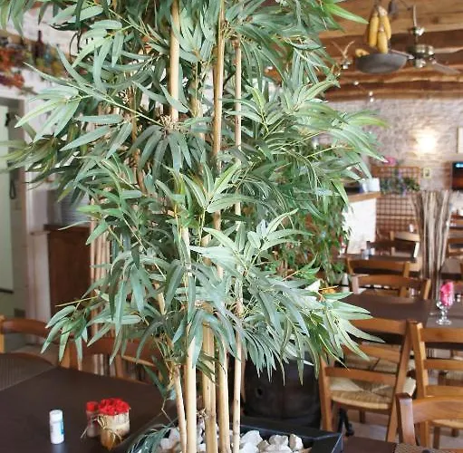 酒店 Les Tilleuls De Pareloup A